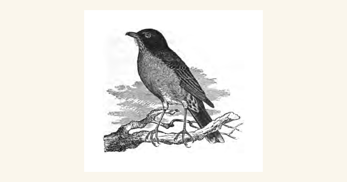 The Public Domain Bird Library